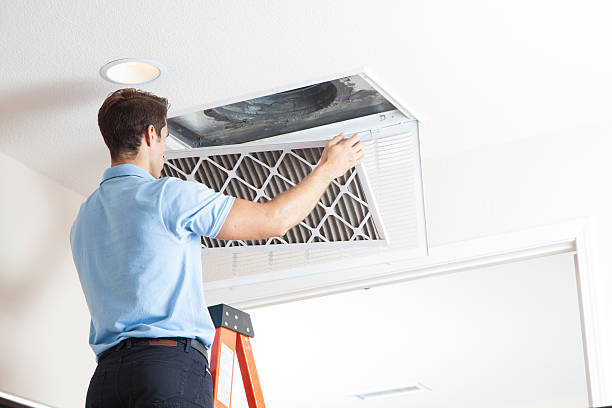 Best Local HVAC companies  in Nicholson, GA